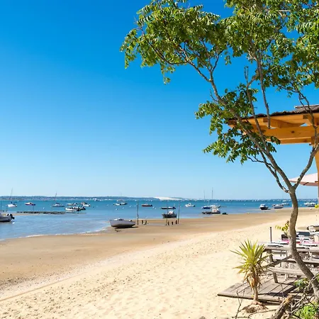 Le Patio Mauresque By Interhome Appartement Arcachon